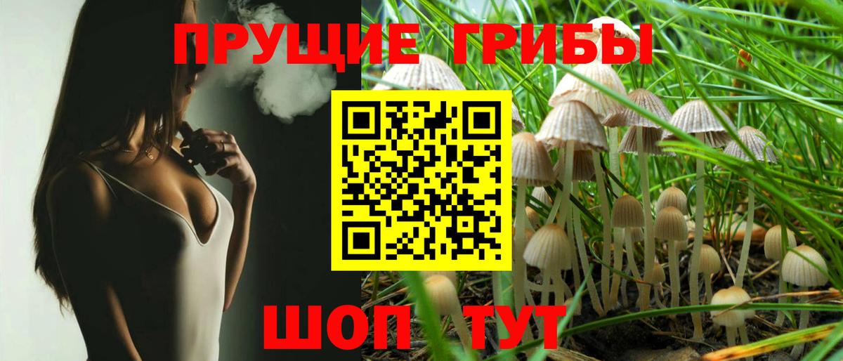 Псилоцибиновые грибы прущие грибы  Вход с VPN  Сланцы 